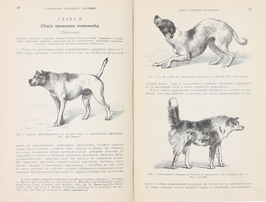 Дарвин Ч. Иллюстрированное собрание сочинений / Пер., предисл. и ред. проф. К.А. Тимирязева. [В 8 т.]. Т. 1-8. М.: Изд. Ю. Лепковскаго, 1907—1909.
